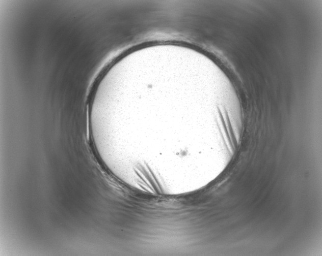 X0000065251175200603172156