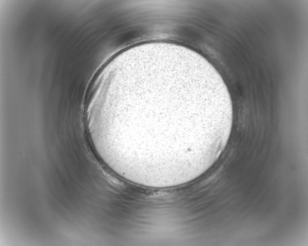 X0000065251178200603172156