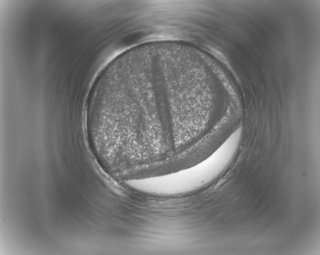 X0000065251179200603172156