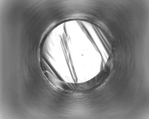 X0000065251180200603172156