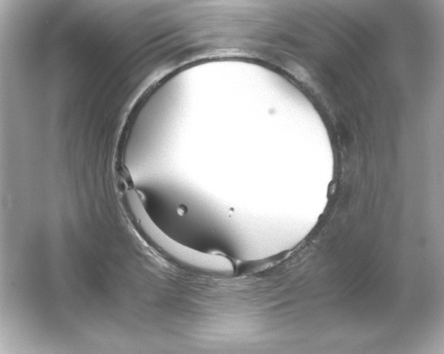 X0000065251181200603172156