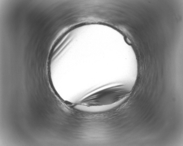 X0000065251183200603172156