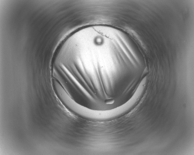 X0000065251184200603172156