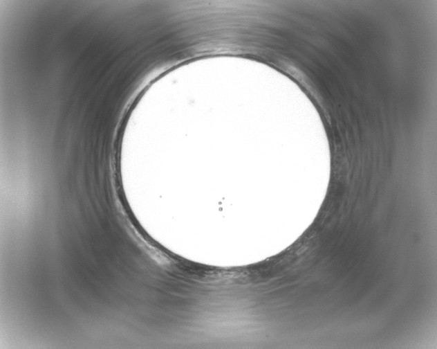 X0000065251187200603172156