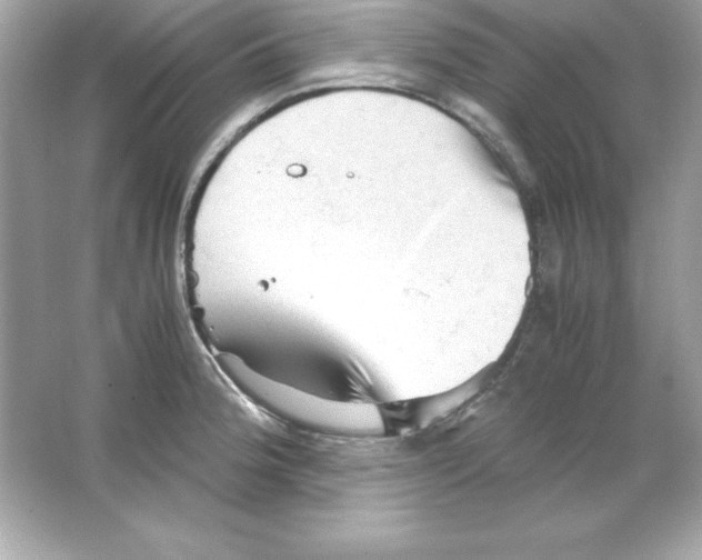 X0000065251188200603172156