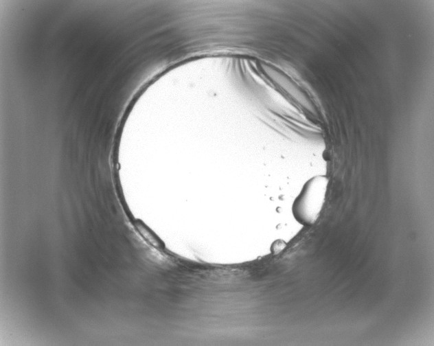 X0000065251189200603172156