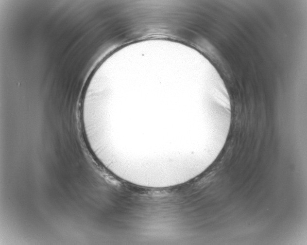 X0000065251190200603172156