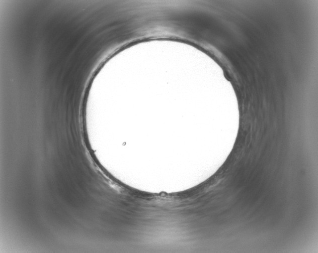 X0000065251191200603172156