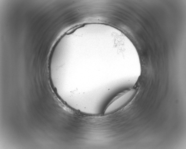 X0000065251192200603172156