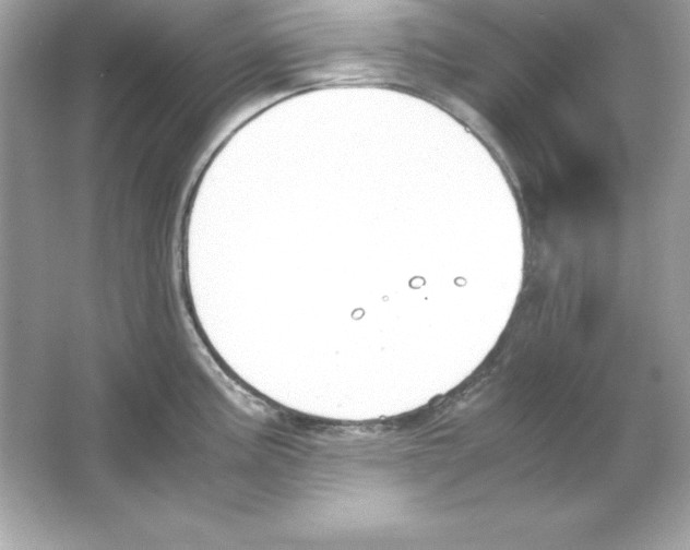 X0000065251195200603172156