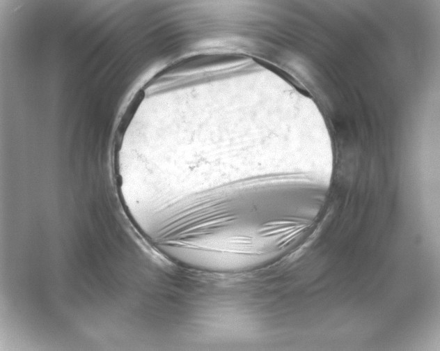 X0000065251196200603172156