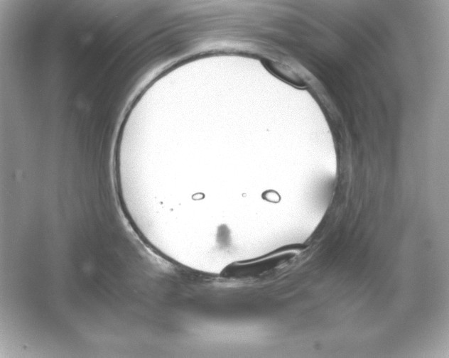 X0000065251199200603172156