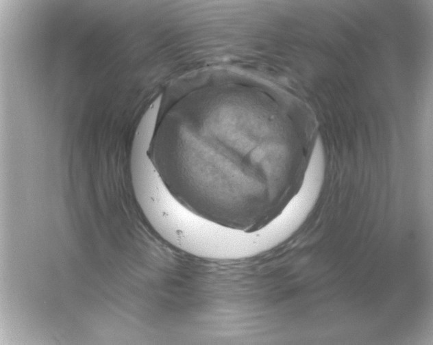 X0000065251202200603172155