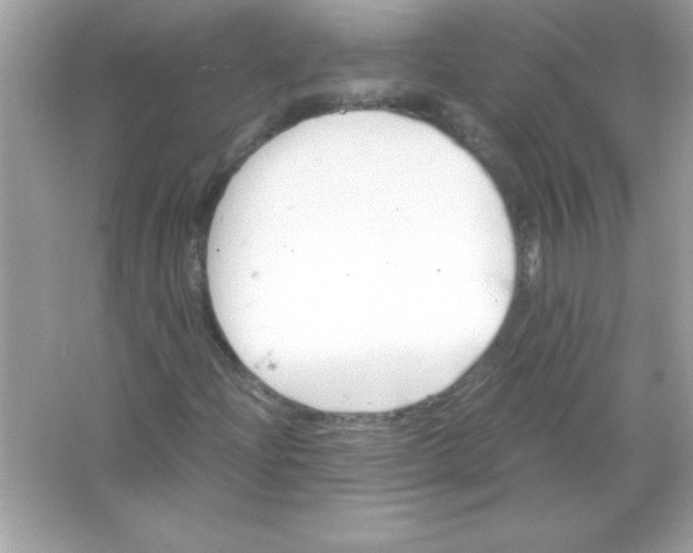 X0000065251204200603172155