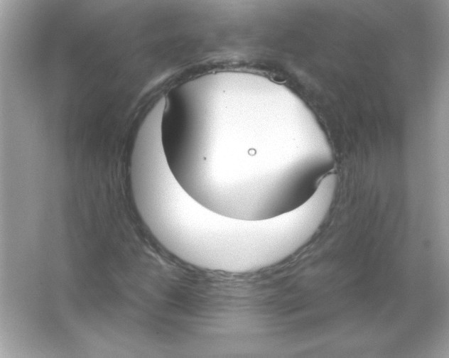 X0000065251206200603172155