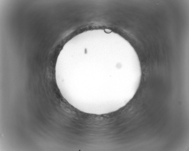 X0000065251207200603172155