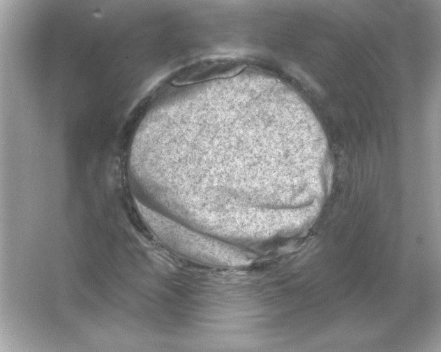 X0000065251208200603172155