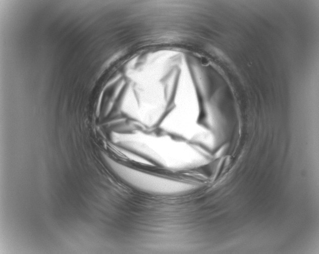 X0000065251210200603172155