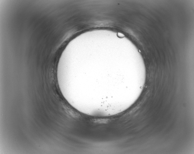 X0000065251211200603172155