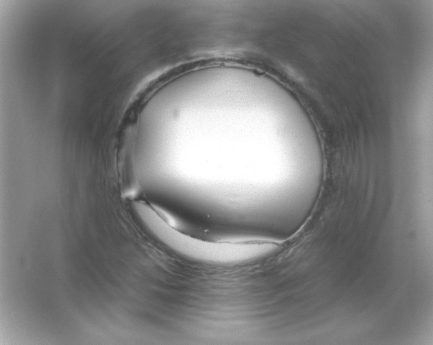 X0000065251214200603172155