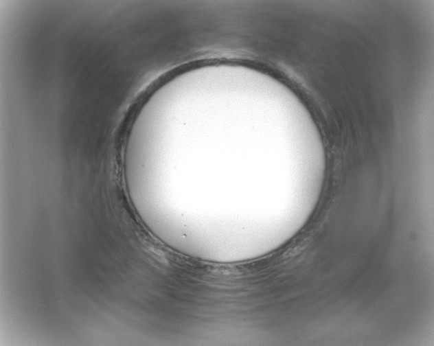 X0000065251215200603172155