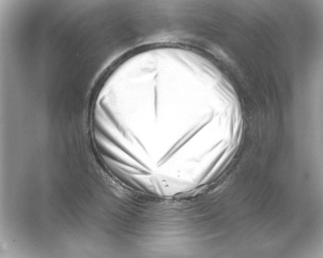 X0000065251216200603172155