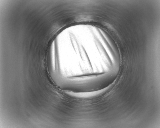 X0000065251217200603172155