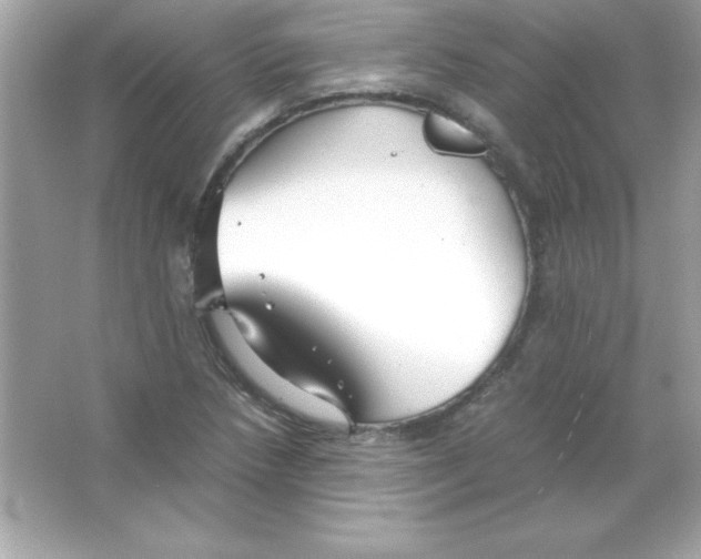 X0000065251218200603172155