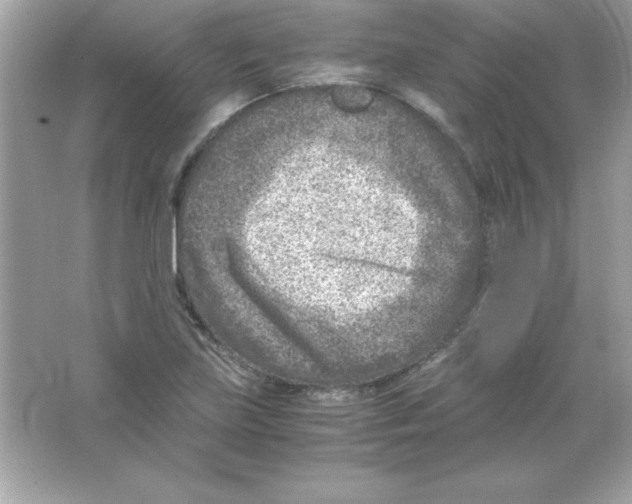 X0000065251219200603172155