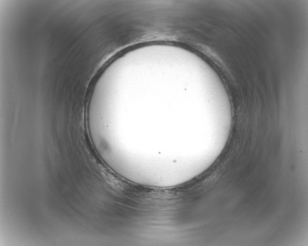 X0000065251220200603172155