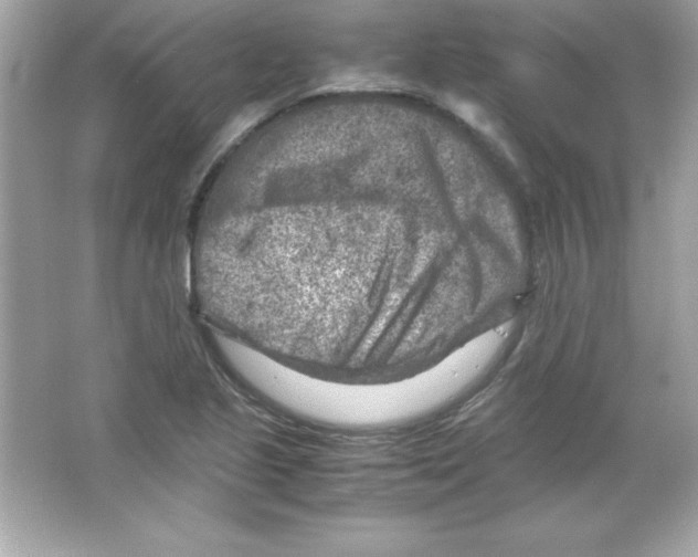 X0000065251221200603172155