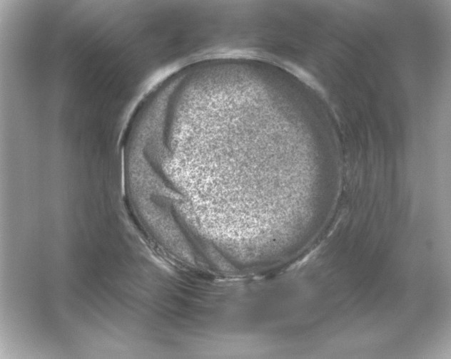 X0000065251223200603172155