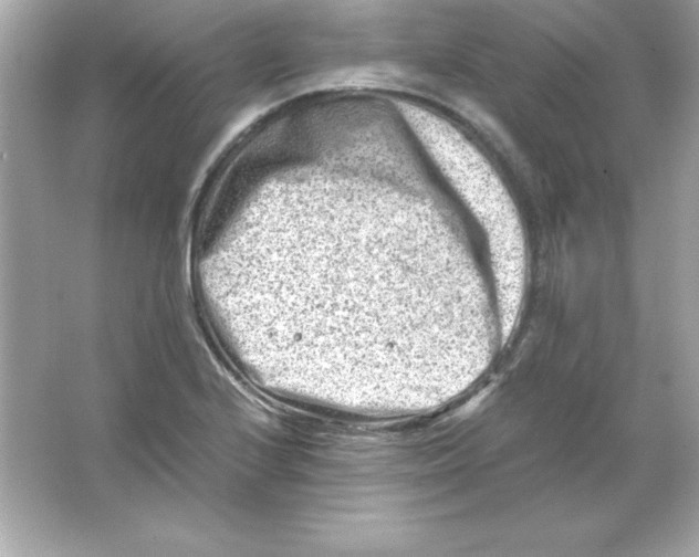 X0000065251224200603172155