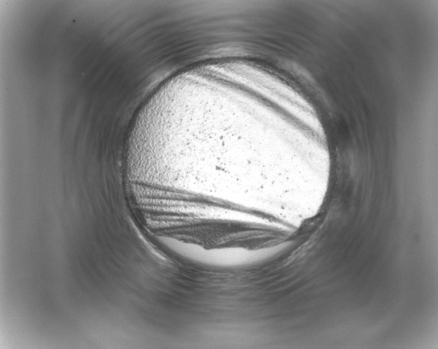 X0000065251225200603172155