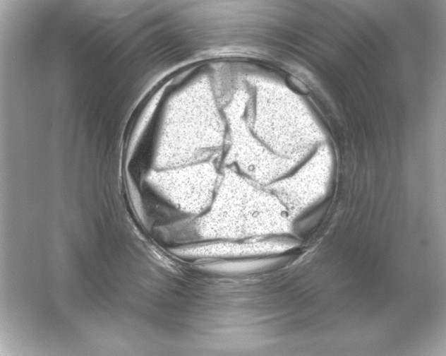 X0000065251228200603172156