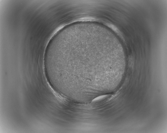 X0000065251229200603172156