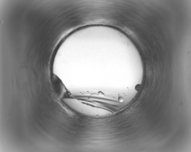 X0000065251230200603172156