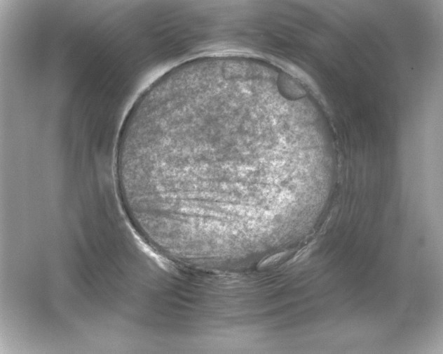 X0000065251231200603172156