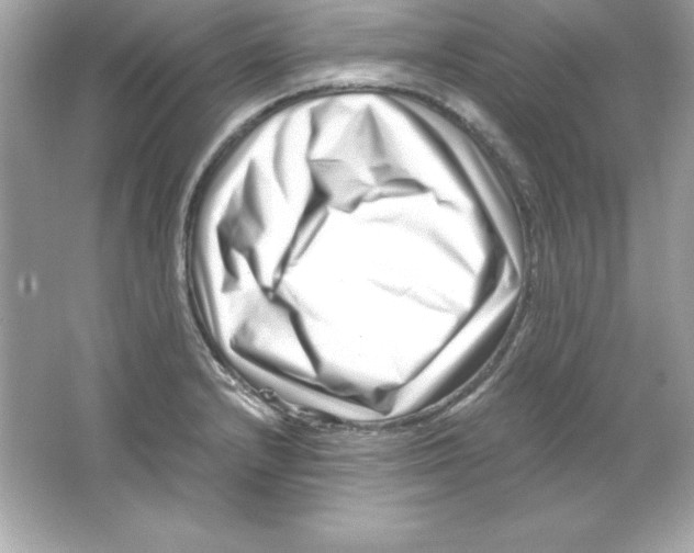 X0000065251232200603172156