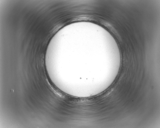 X0000065251233200603172156