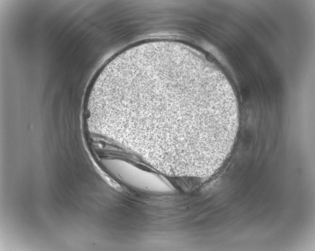 X0000065251237200603172156