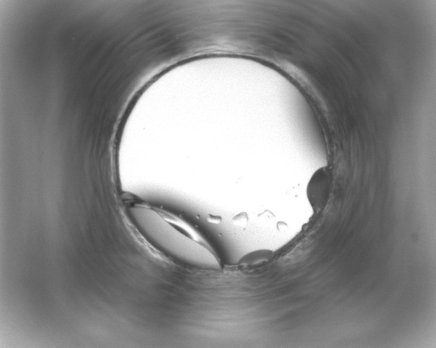 X0000065251238200603172156