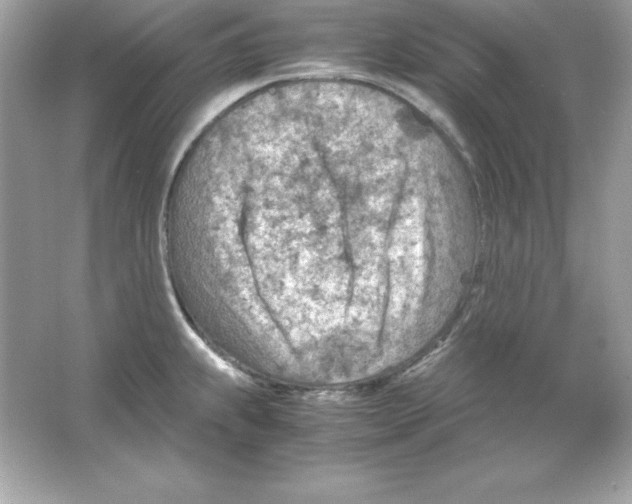 X0000065251239200603172156