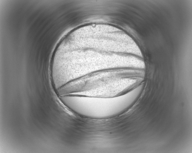 X0000065251240200603172156