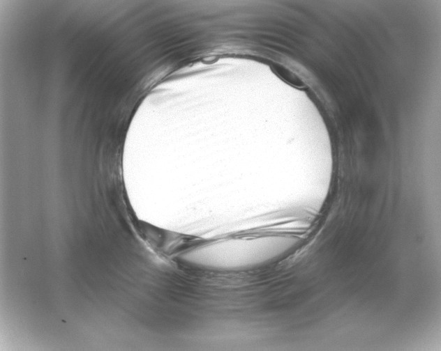 X0000065251241200603172156