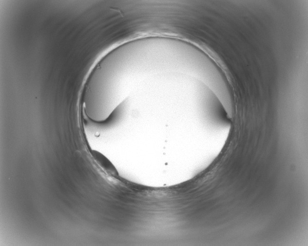 X0000065251246200603172156