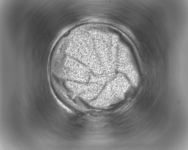 X0000065251247200603172156