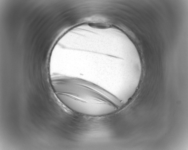 X0000065251248200603172156