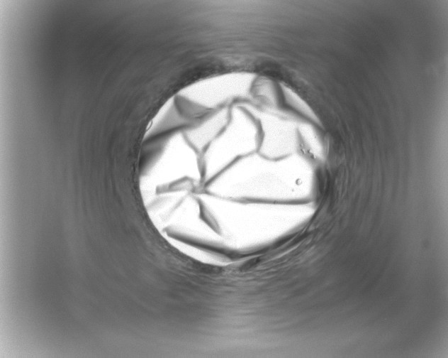 X0000065251249200603172155