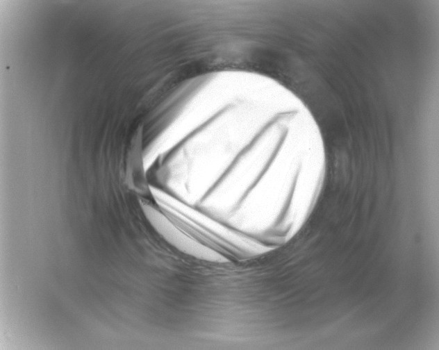 X0000065251250200603172155